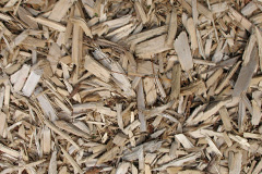 biomass boilers Ynystawe